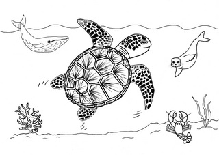 Turtle swimming in ocean with whale and seal and lobster